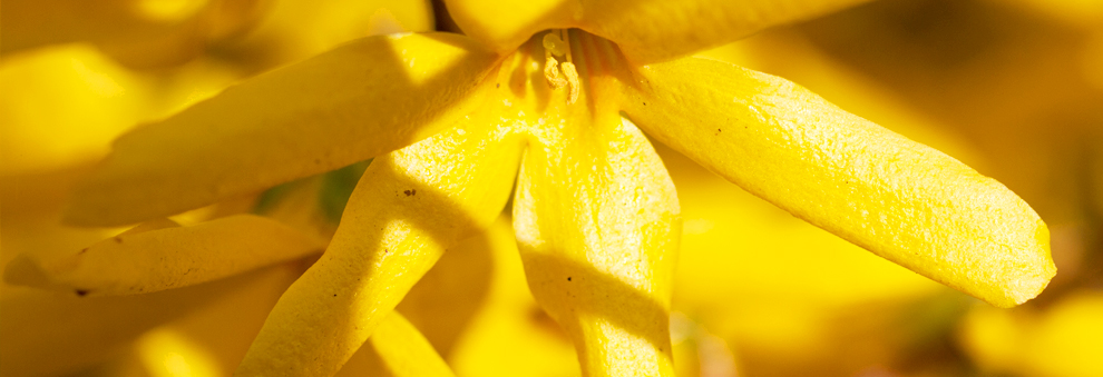 全功能不限制的ddos攻击器安卓ios下载