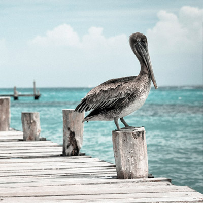 发卡网秒发的网站攻击软件工具