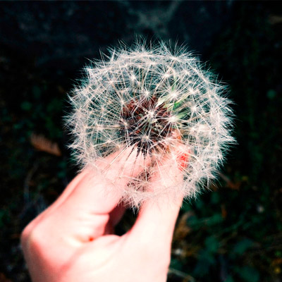 ip攻击器网页版ddos